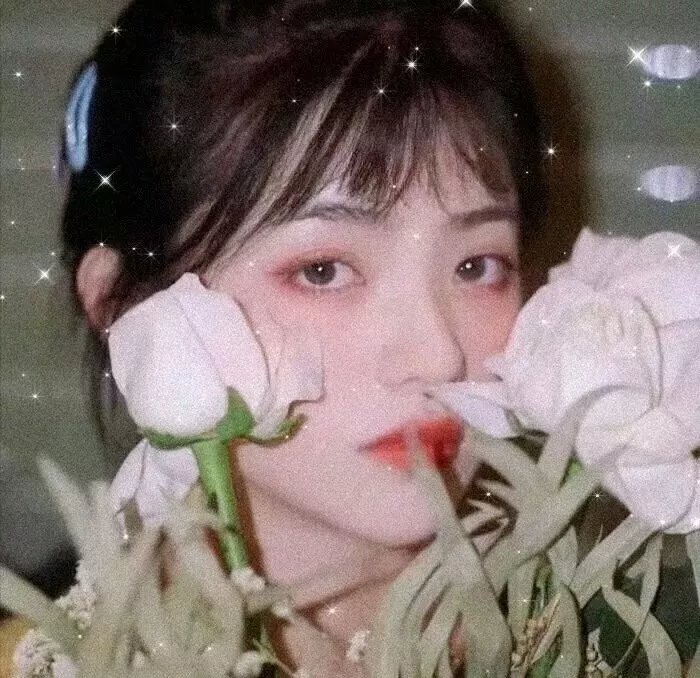 剧照7